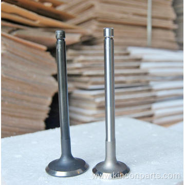 Engine Valves 483